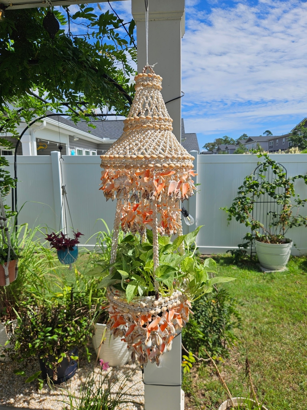 Strawberry Plant Basket And Chandelier